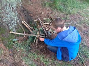 Building a bug house in Dalby